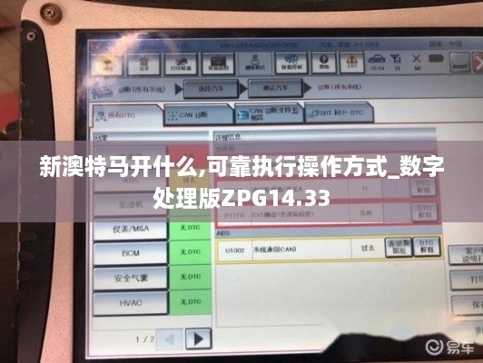 新澳特马开什么,可靠执行操作方式_数字处理版ZPG14.33