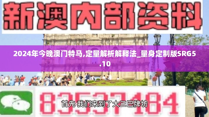 2024年今晚澳门特马,定量解析解释法_量身定制版SRG5.10