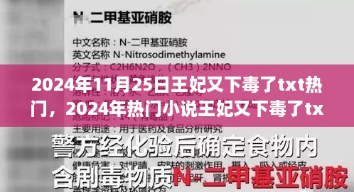 王妃又下毒了，热门小说下载全攻略与深度解析（含txt下载指南）