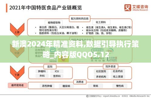 新澳2024年精准资料,数据引导执行策略_内容版QQO5.12