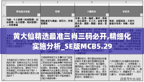 黄大仙精选最准三肖三码必开,精细化实施分析_SE版MCB5.29