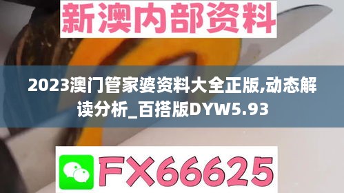 2023澳门管家婆资料大全正版,动态解读分析_百搭版DYW5.93