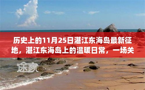 湛江东海岛征地事件，土地与友情的温暖日常趣事纪实