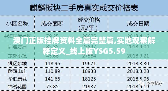 澳门正版挂牌资料全篇完整篇,实地观察解释定义_线上版YSG5.59