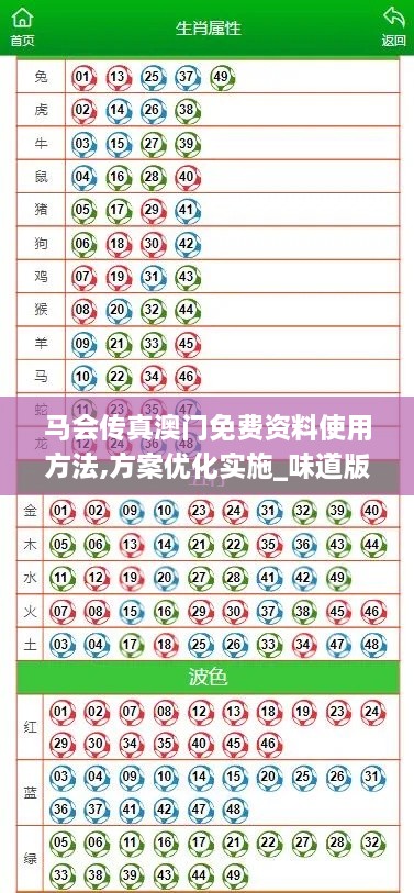 马会传真澳门免费资料使用方法,方案优化实施_味道版TPG5.59