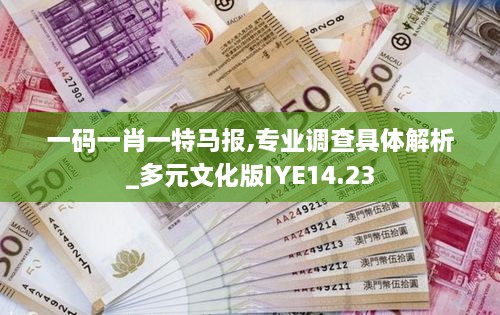 一码一肖一特马报,专业调查具体解析_多元文化版IYE14.23