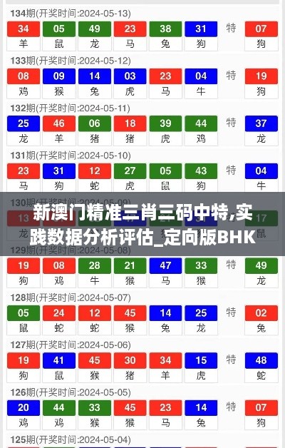 新澳门精准三肖三码中特,实践数据分析评估_定向版BHK5.63