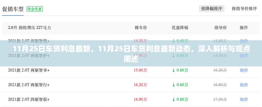 11月25日车贷利息最新动态，深入解析及观点阐述
