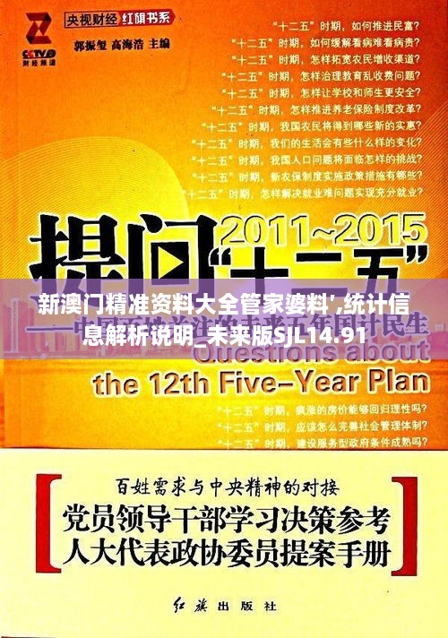 新澳门精准资料大全管家婆料′,统计信息解析说明_未来版SJL14.91