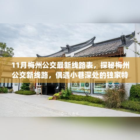 探秘梅州公交新线路，最新线路表与小巷深处的独家特色小店揭秘