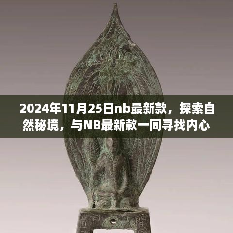 与NB最新款共赴内心平静之旅，探索自然秘境，2024年11月25日新款发布