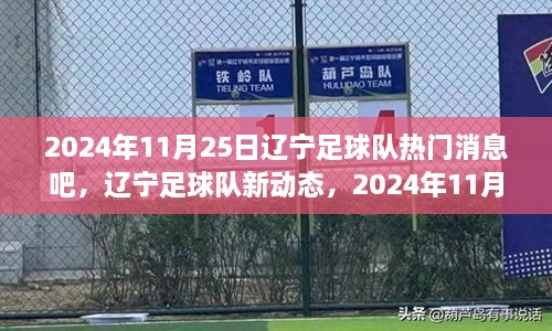 辽宁足球队最新动态与热门消息深度解析，2024年11月25日更新