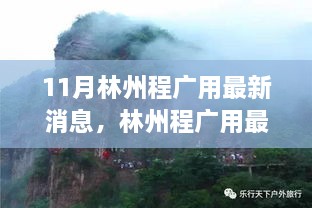 林州程广用最新消息评测，特性、体验、竞品对比及用户群体深度分析