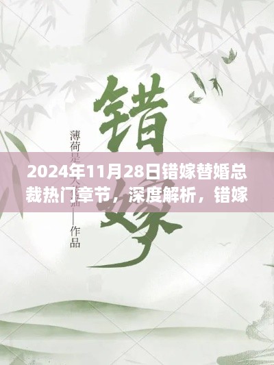 错嫁替婚总裁热门章节深度解析与用户体验报告（2024年11月版）