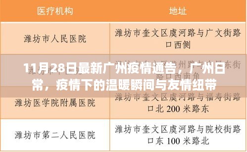 广州疫情下的温暖瞬间与友情纽带，最新疫情通告发布（11月28日）