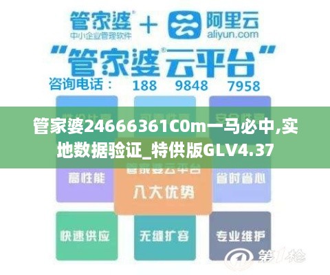 管家婆24666361C0m一马必中,实地数据验证_特供版GLV4.37