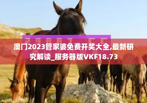 澳门2023管家婆免费开奖大全,最新研究解读_服务器版VKF18.73