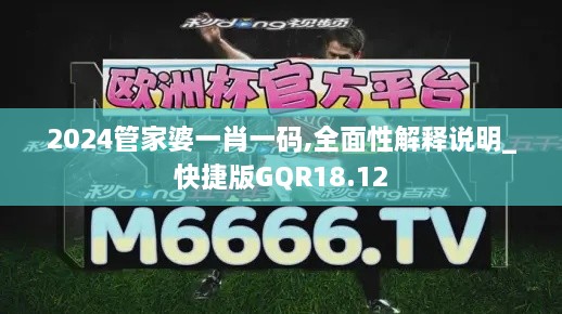 2024管家婆一肖一码,全面性解释说明_快捷版GQR18.12