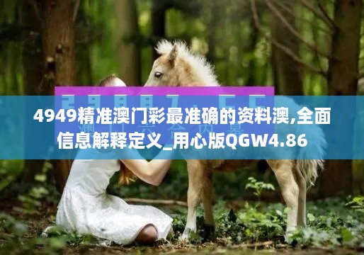 4949精准澳门彩最准确的资料澳,全面信息解释定义_用心版QGW4.86