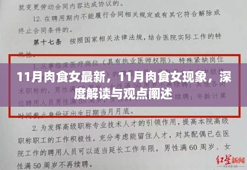 深度解读与观点阐述，11月肉食女现象最新动态