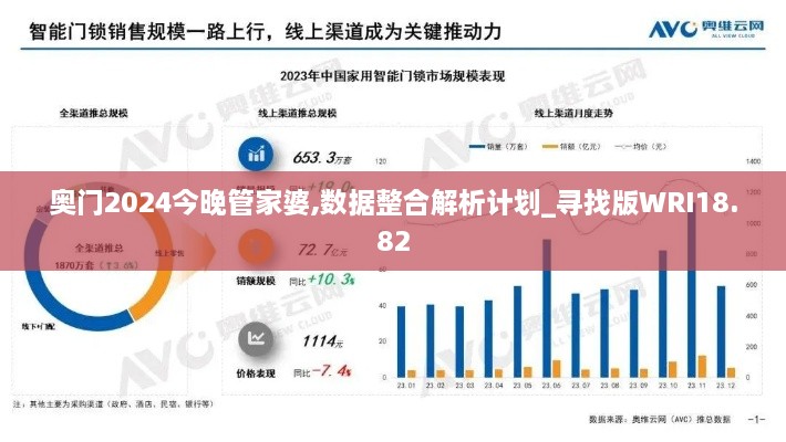 奥门2024今晚管家婆,数据整合解析计划_寻找版WRI18.82