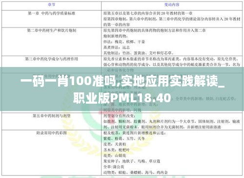 一码一肖100准吗,实地应用实践解读_职业版PML18.40