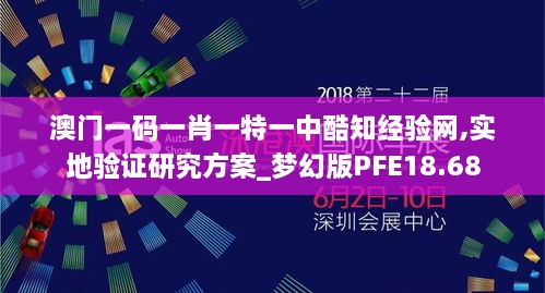 澳门一码一肖一特一中酷知经验网,实地验证研究方案_梦幻版PFE18.68