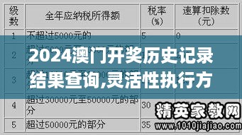 2024澳门开奖历史记录结果查询,灵活性执行方案_紧凑版FIB18.78