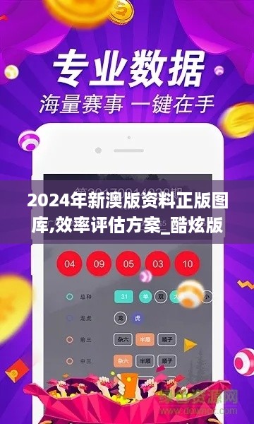 2024年新澳版资料正版图库,效率评估方案_酷炫版XCA4.73