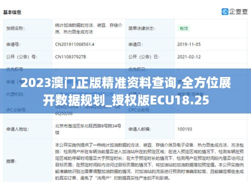 2023澳门正版精准资料查询,全方位展开数据规划_授权版ECU18.25