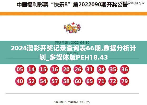 2024澳彩开奖记录查询表66期,数据分析计划_多媒体版PEH18.43