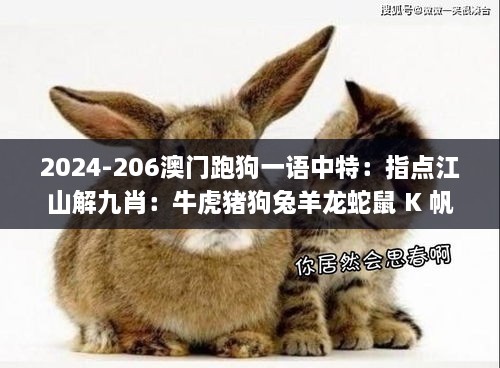 2024-206澳门跑狗一语中特：指点江山解九肖：牛虎猪狗兔羊龙蛇鼠 K 帆红字百啭,精准解答方案详解_梦想版TLW18.7