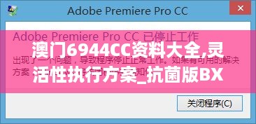 澳门6944CC资料大全,灵活性执行方案_抗菌版BXZ4.96