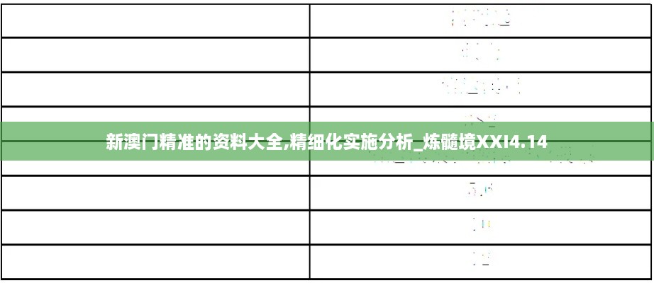 新澳门精准的资料大全,精细化实施分析_炼髓境XXI4.14