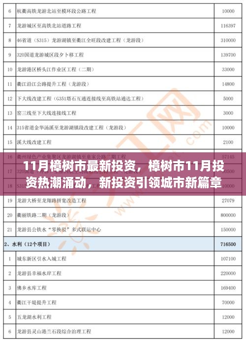 樟树市11月投资热潮涌动，引领城市新篇章启动在即