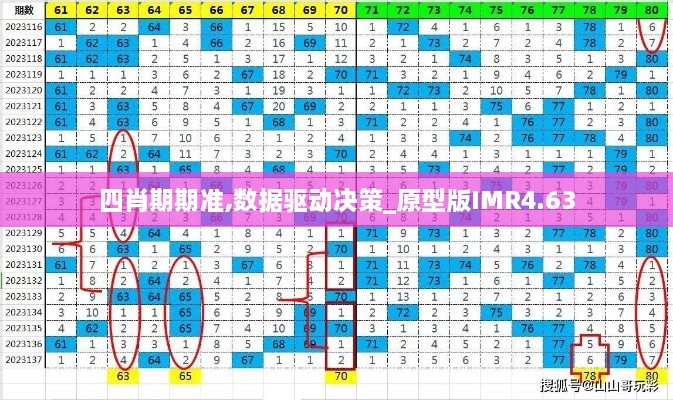 四肖期期准,数据驱动决策_原型版IMR4.63