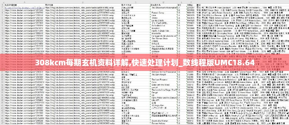 308kcm每期玄机资料详解,快速处理计划_数线程版UMC18.64