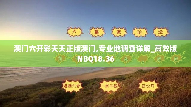 澳门六开彩天天正版澳门,专业地调查详解_高效版NBQ18.36