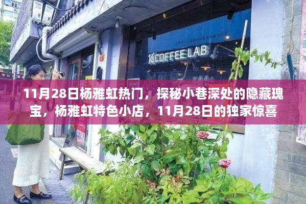 探秘杨雅虹小巷深处的隐藏瑰宝，特色小店独家惊喜之旅（11月28日）