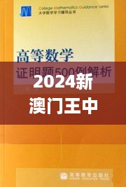 2024新澳门王中王正版,科学解释分析_安全版RLE18.63