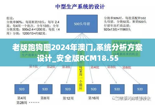 老版跑狗图2024年澳门,系统分析方案设计_安全版RCM18.55