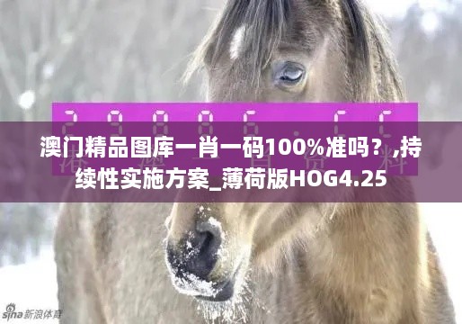 澳门精品图库一肖一码100%准吗？,持续性实施方案_薄荷版HOG4.25