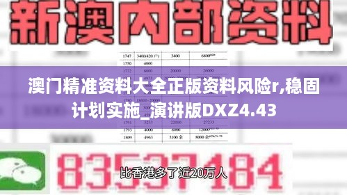 澳门精准资料大全正版资料风险r,稳固计划实施_演讲版DXZ4.43