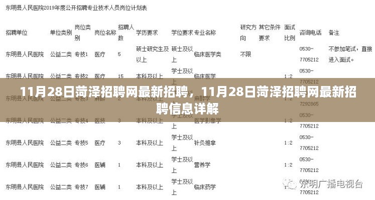 11月28日菏泽招聘网最新招聘信息详解，岗位、待遇一网打尽