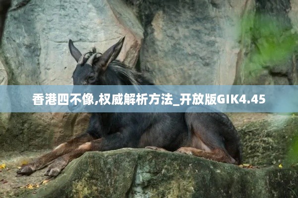 香港四不像,权威解析方法_开放版GIK4.45