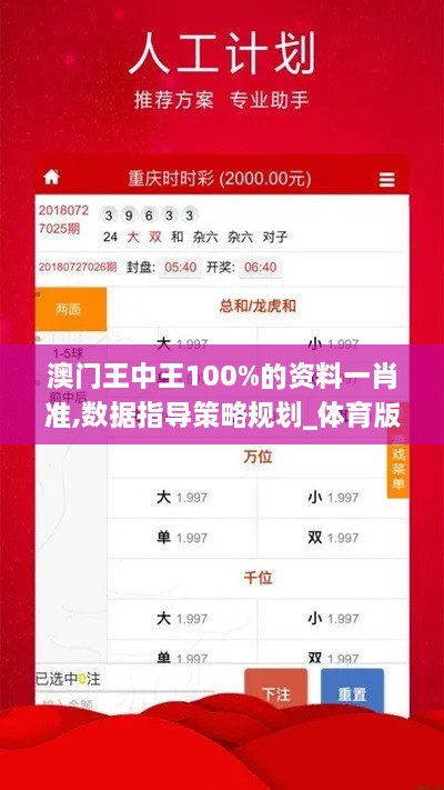 澳门王中王100%的资料一肖准,数据指导策略规划_体育版DTI18.62