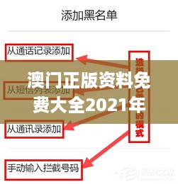 澳门正版资料免费大全2021年,深究数据应用策略_界面版LZN18.71