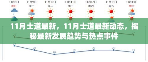 揭秘11月士道最新动态与发展趋势热点事件速递