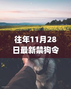 最新禁狗令下的自然之旅与心灵探险，寻找内心平静之旅