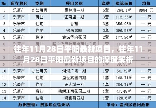 往年11月28日平阳最新项目及其深度解析